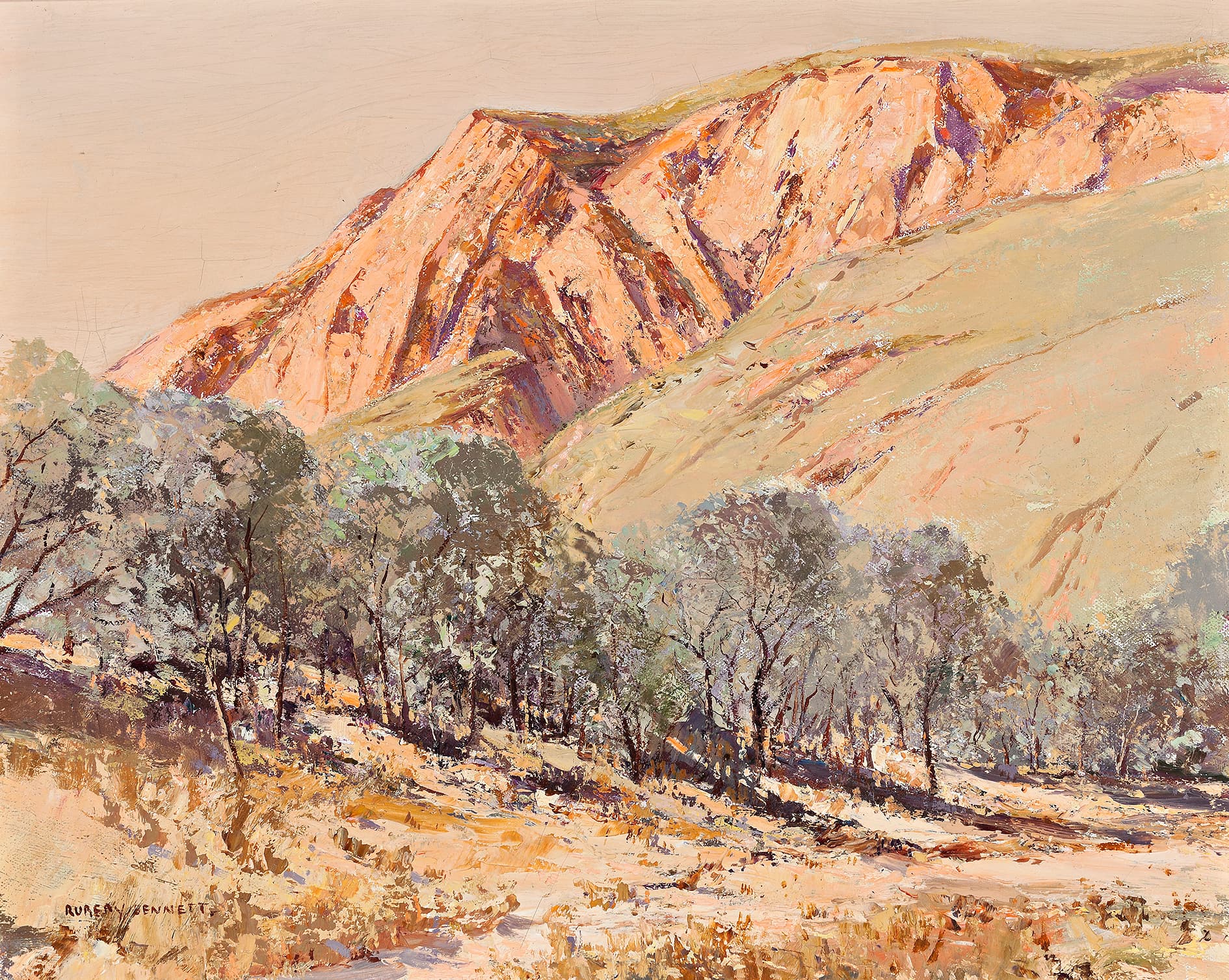 Central Australian landscape