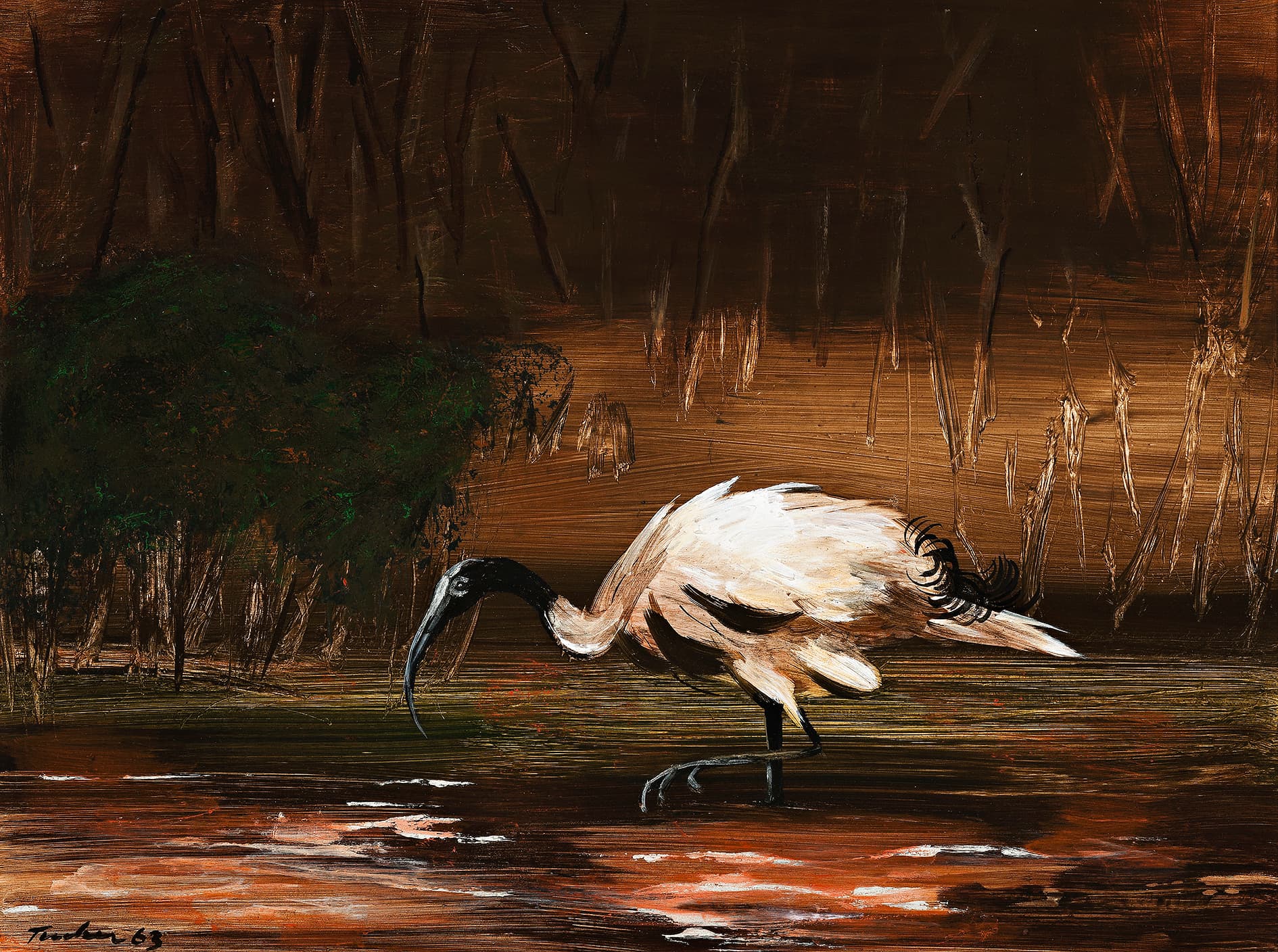 IBIS
