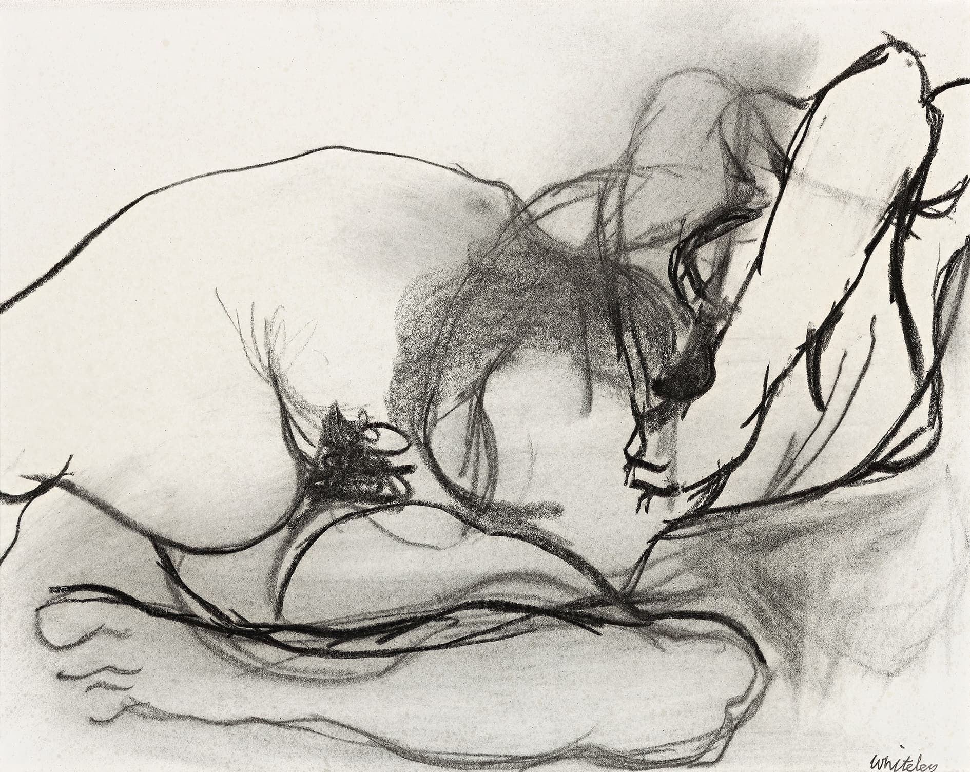 RECLINING NUDE