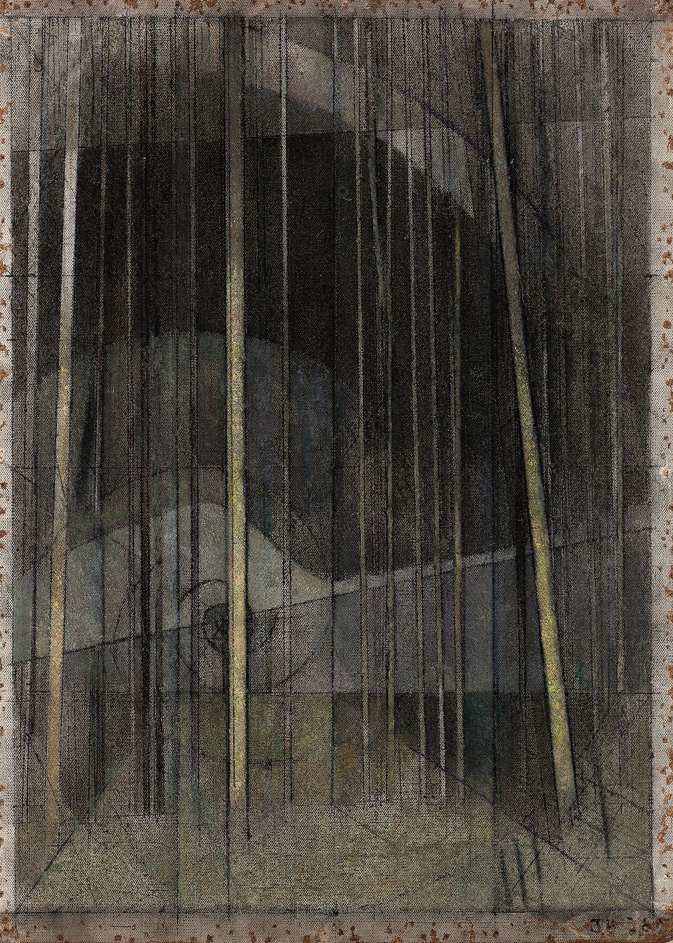 NOCTURNE TREES