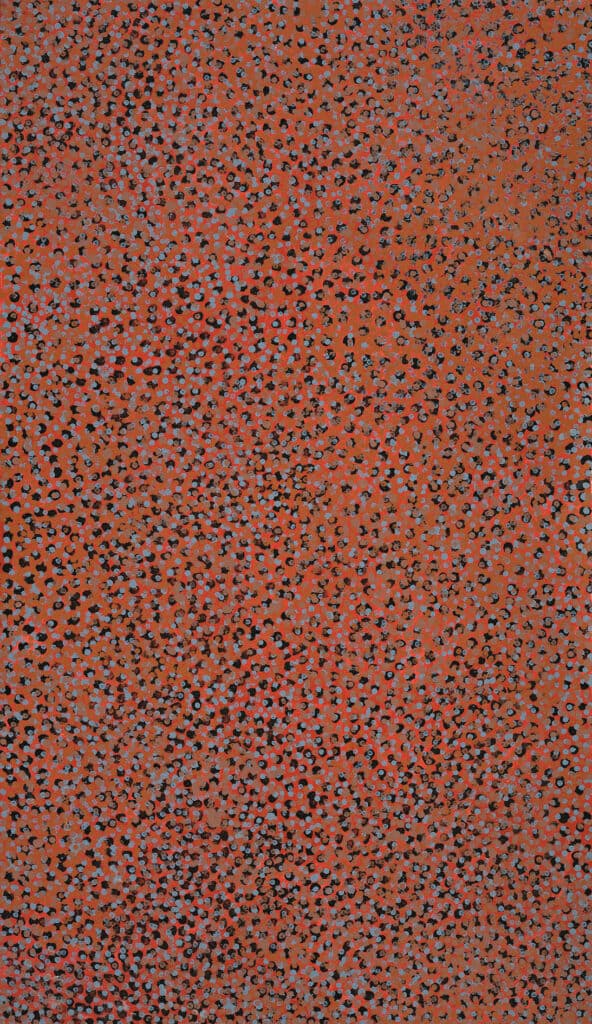 MERNE NDORKWA (WILD PLUM)