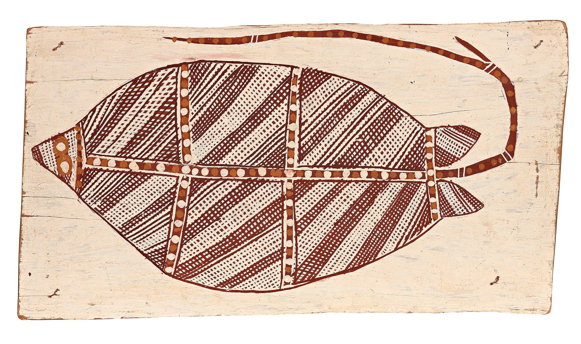 STINGRAY