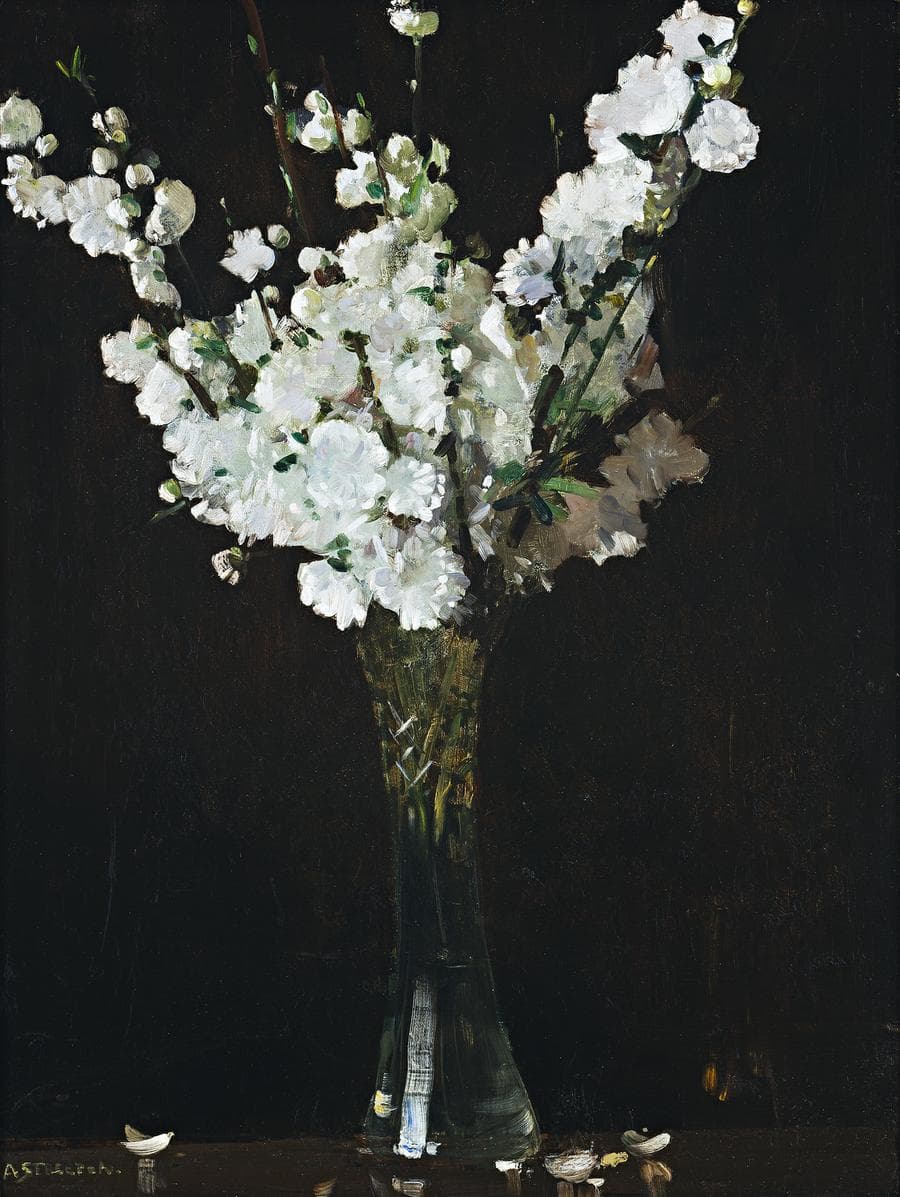 APPLE BLOSSOMS IN A VASE