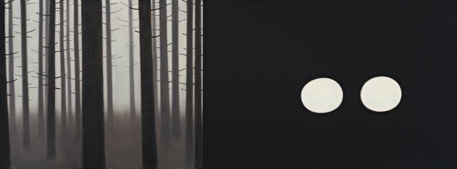 FOREST AND LIGHTS – SPLIT