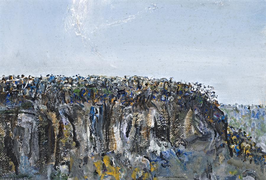 BLUFF AT SPRINGBROOK