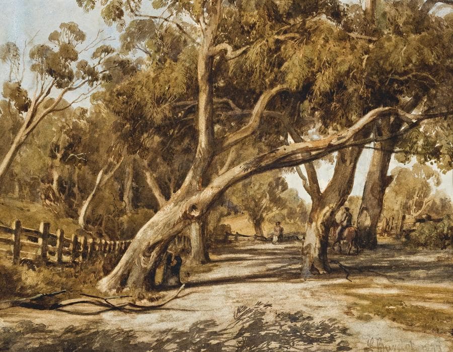 COUNTRY ROAD