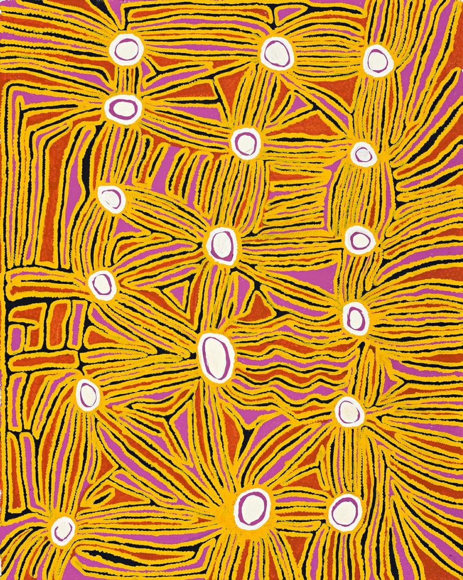 PORCUPINE DREAMING