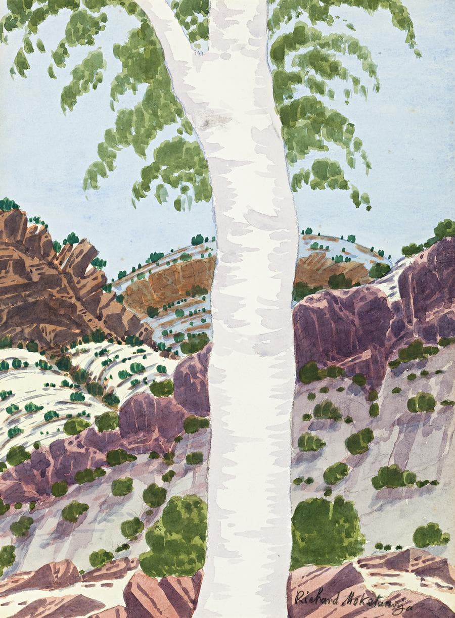 PALM VALLEY