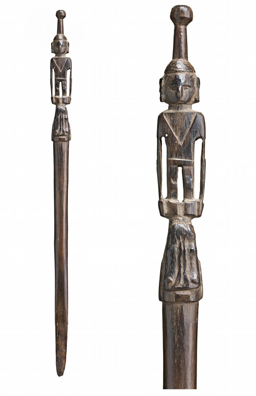 ADMIRALTY ISLANDS SPATULA