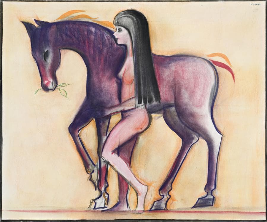 HORSE AND NUDE