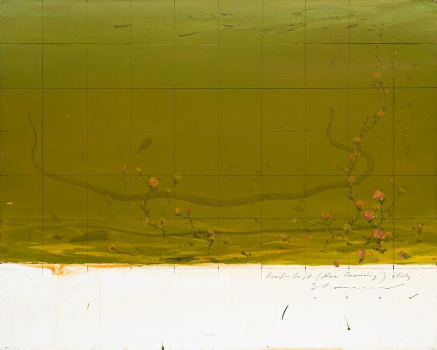 PACIFIC DRIFT (ROSE CROSSING) STUDY