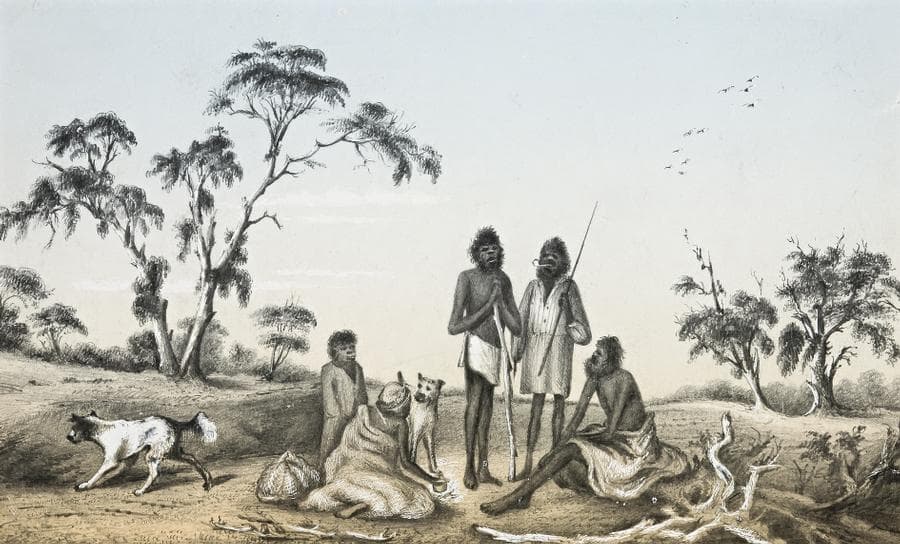 NATIVES OF SOUTH AUSTRALIA