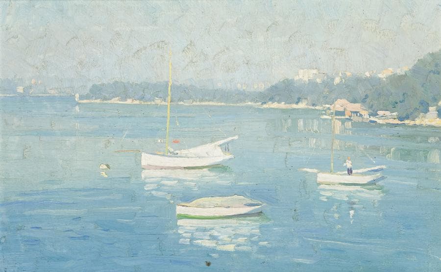 BOATS MOORED IN A COVE, SYDNEY