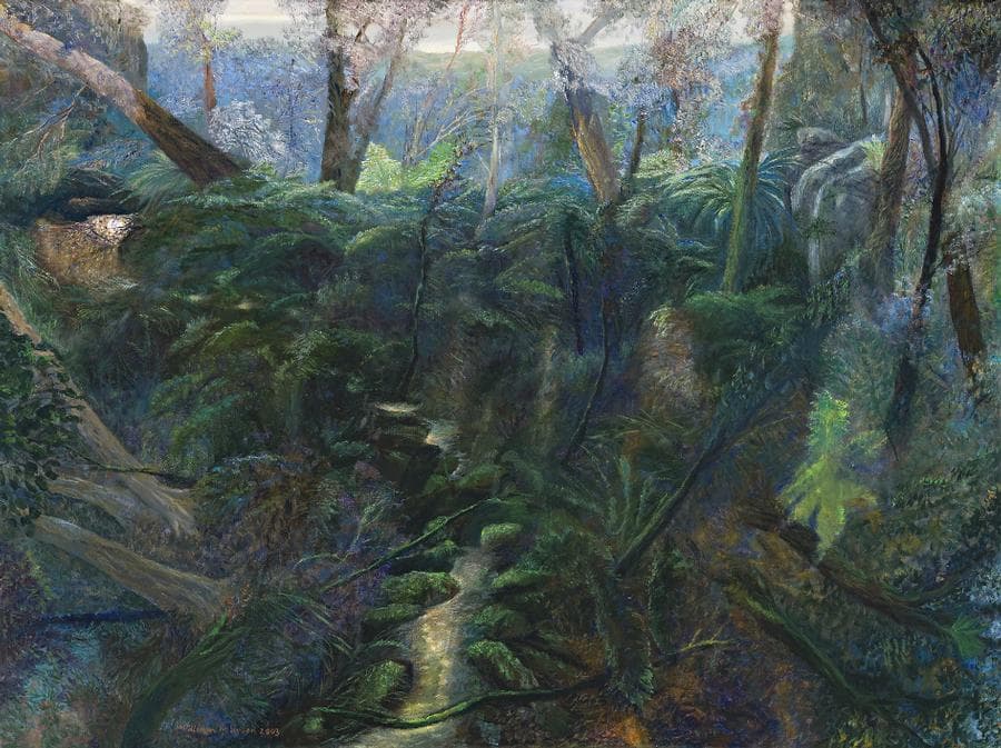 FOREST WITH FERNS, TALLANBANNA