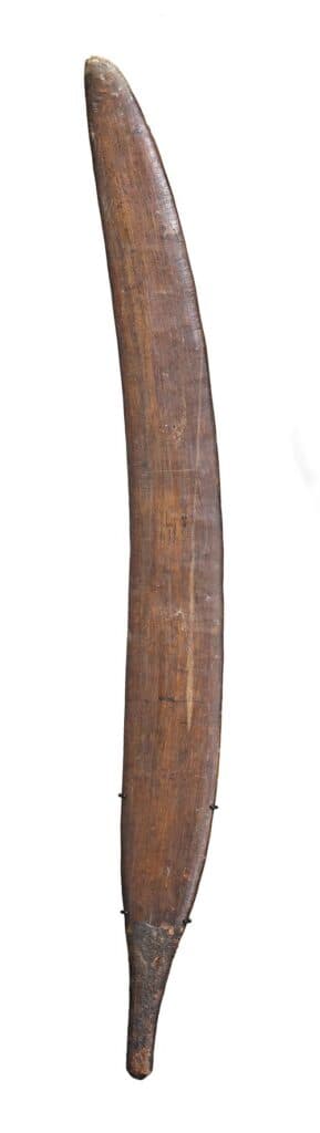 A RAINFOREST SWORD CLUB