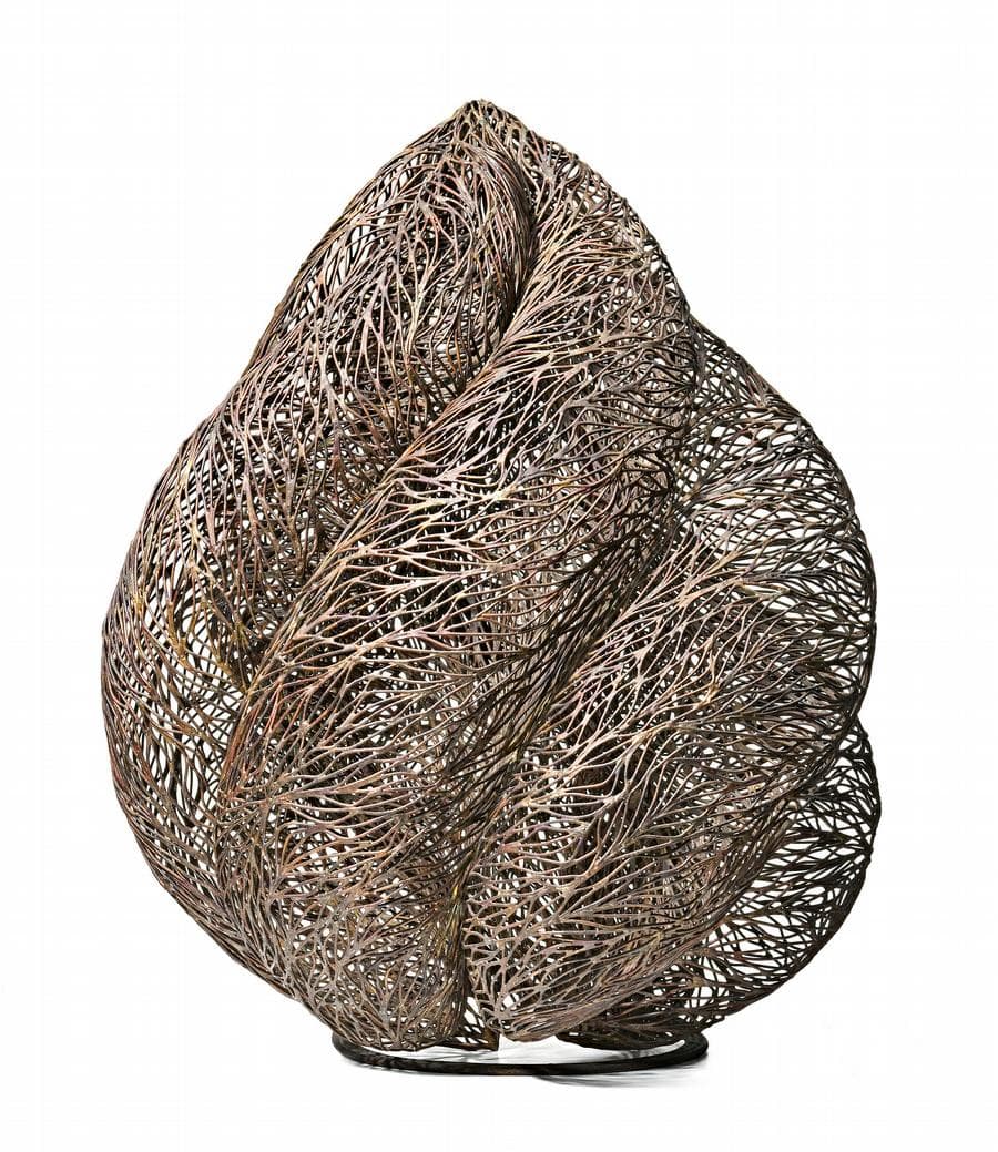 VOLUTE
