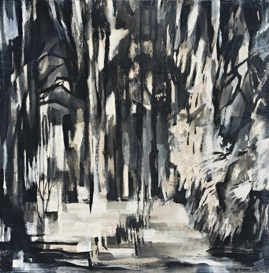 CANOPY