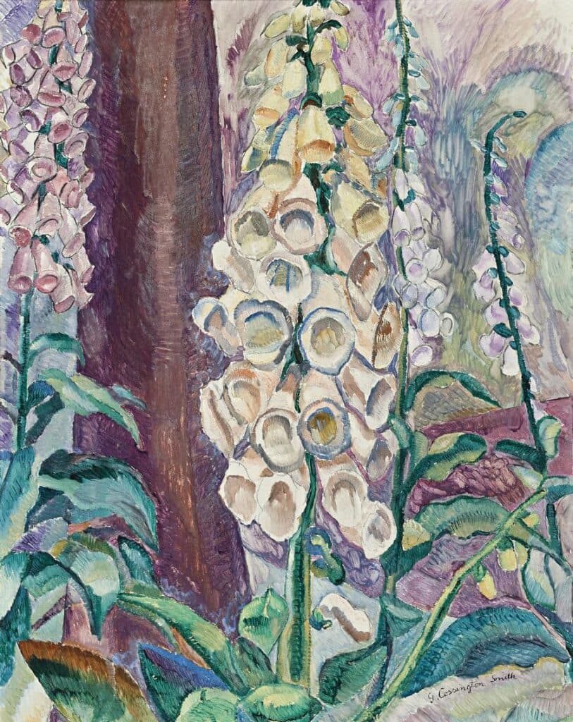 FOXGLOVES GROWING