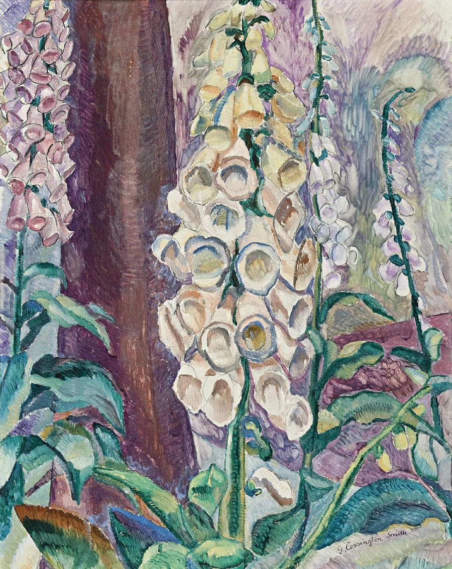 FOXGLOVES GROWING