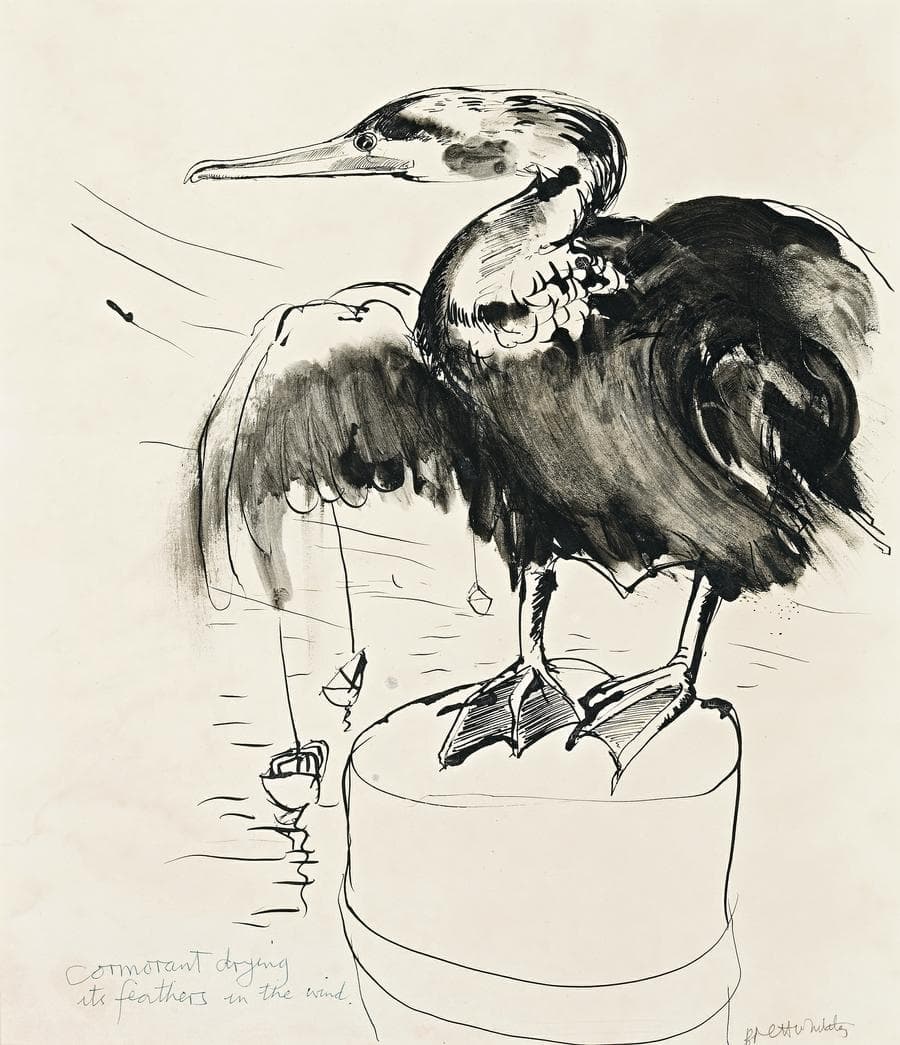 CORMORANT