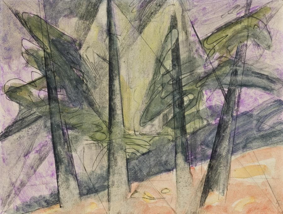 FOREST SERIES