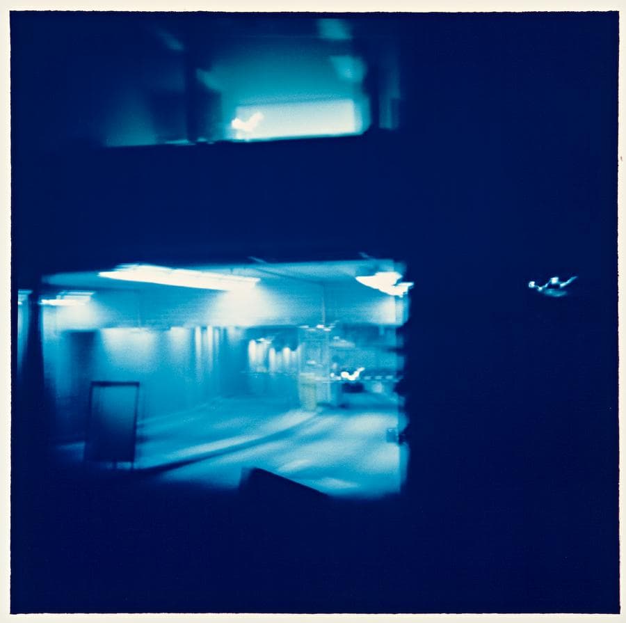 UNTITLED, 1991-92 (FROM THE SCOPIC TERRITORIES SERIES)