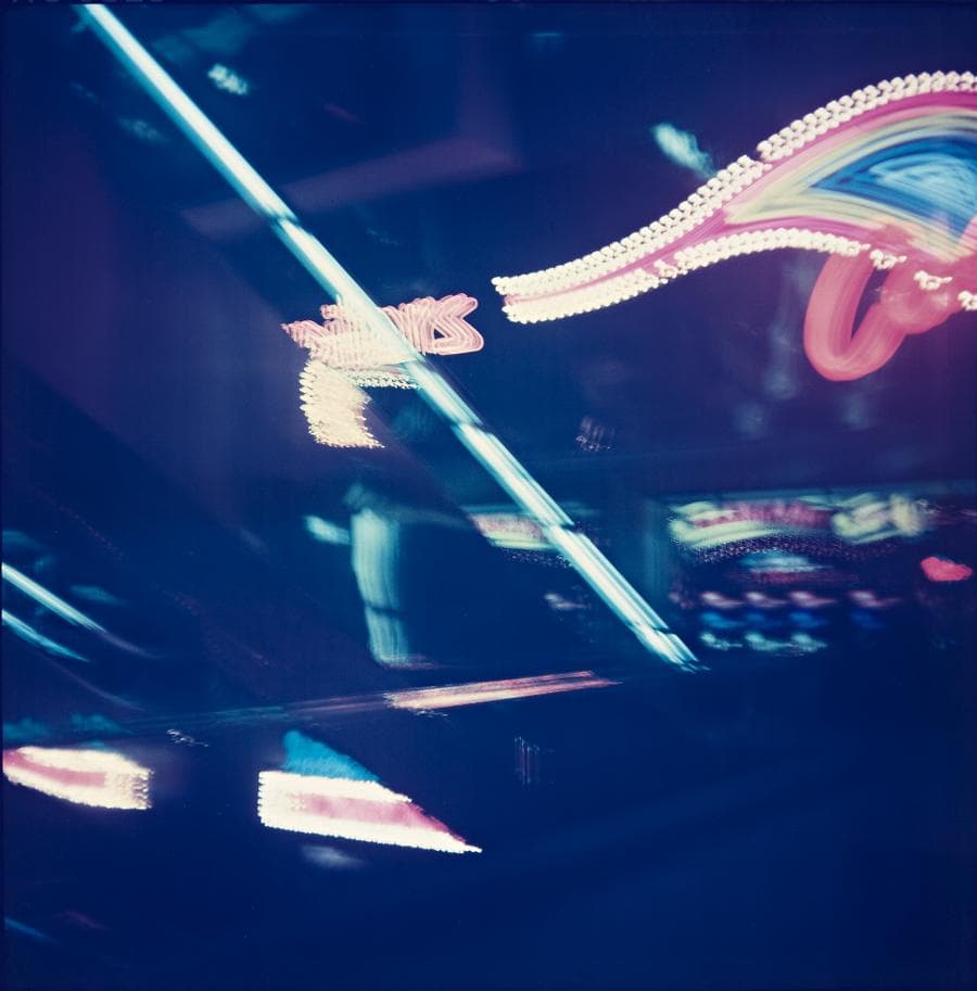 UNTITLED, 1991-92 FROM THE SCOPIC TERRITORIES SERIES