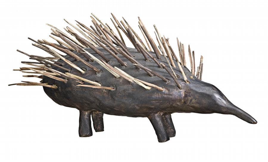 ECHIDNA