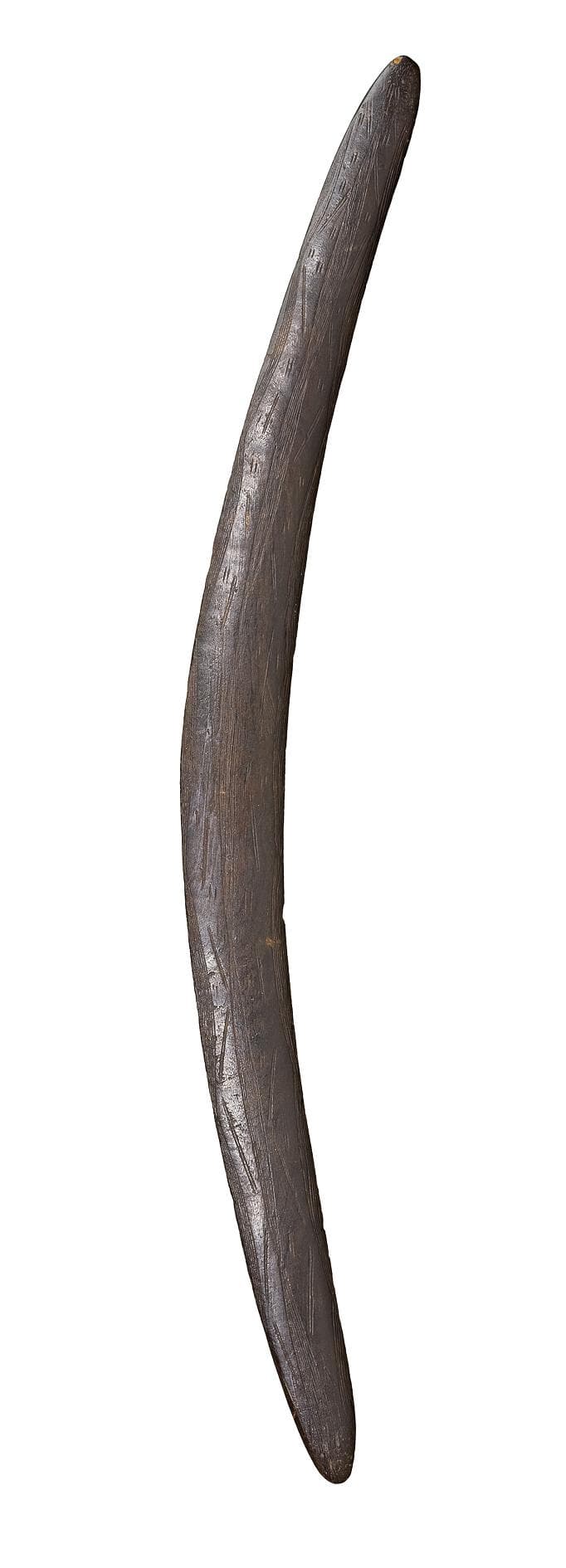A FIGHTING BOOMERANG