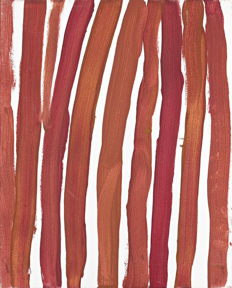 BODY STRIPES
