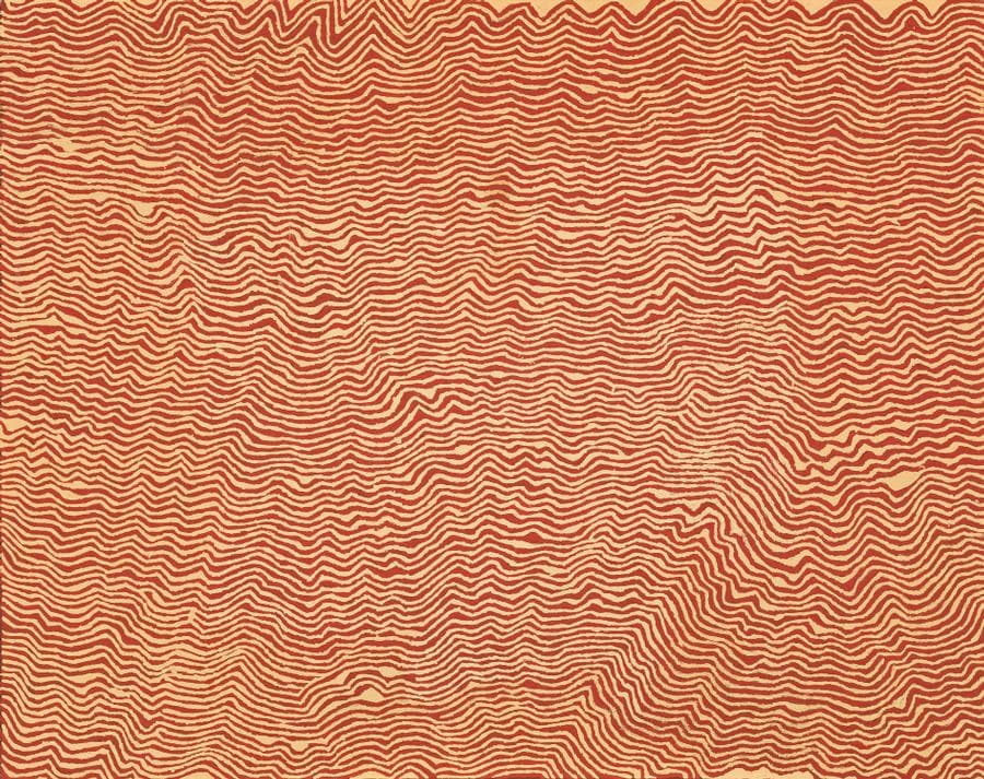BUSH POTATO DREAMING