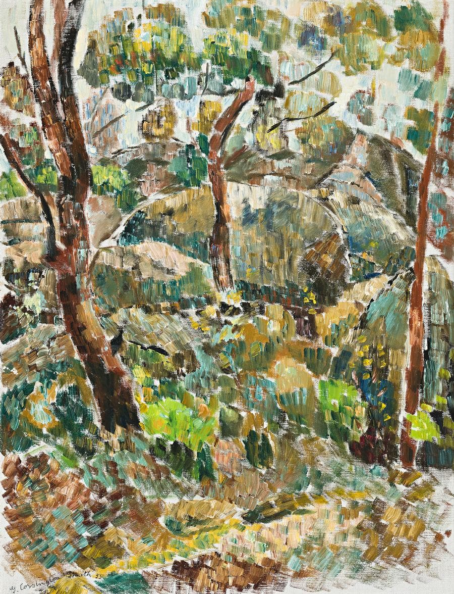 ROCKS IN THE BUSH