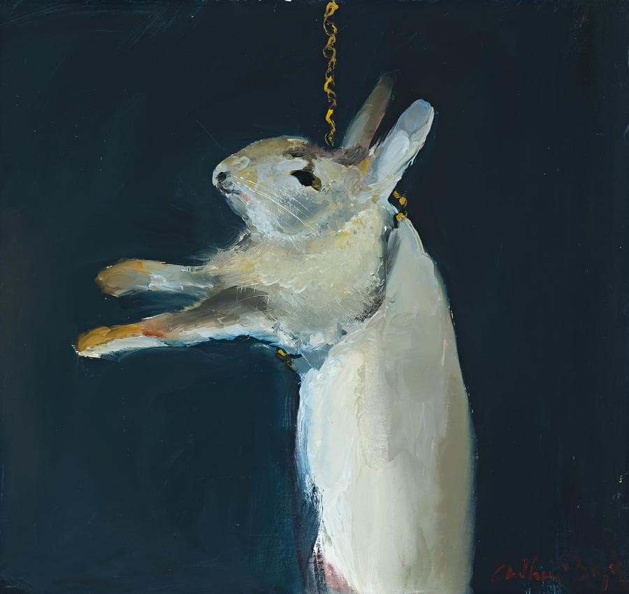 SHOALHAVEN RABBIT
