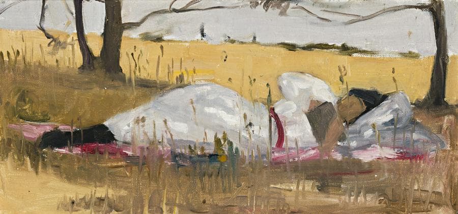 NOONDAY SIESTA