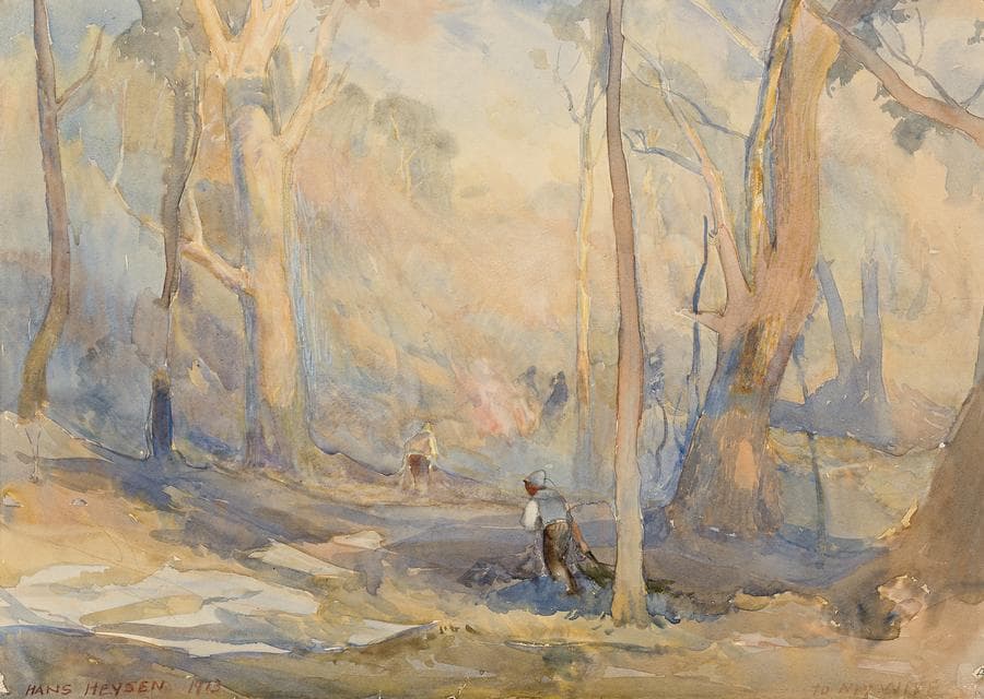 BUSHFIRE HAZE