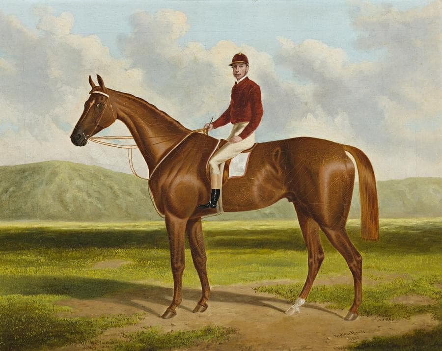 FALCON: WINNER OF THE 1864 ADELAIDE CUP