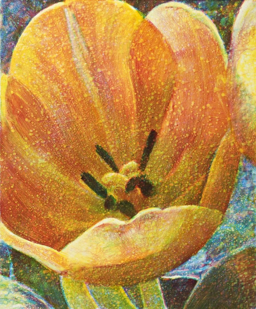 OPEN TULIP III