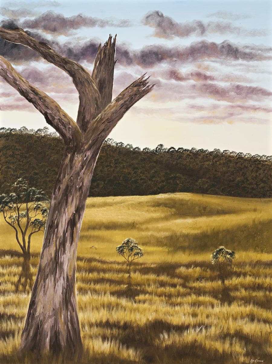 OLD TREE IN LANDSCAPE
