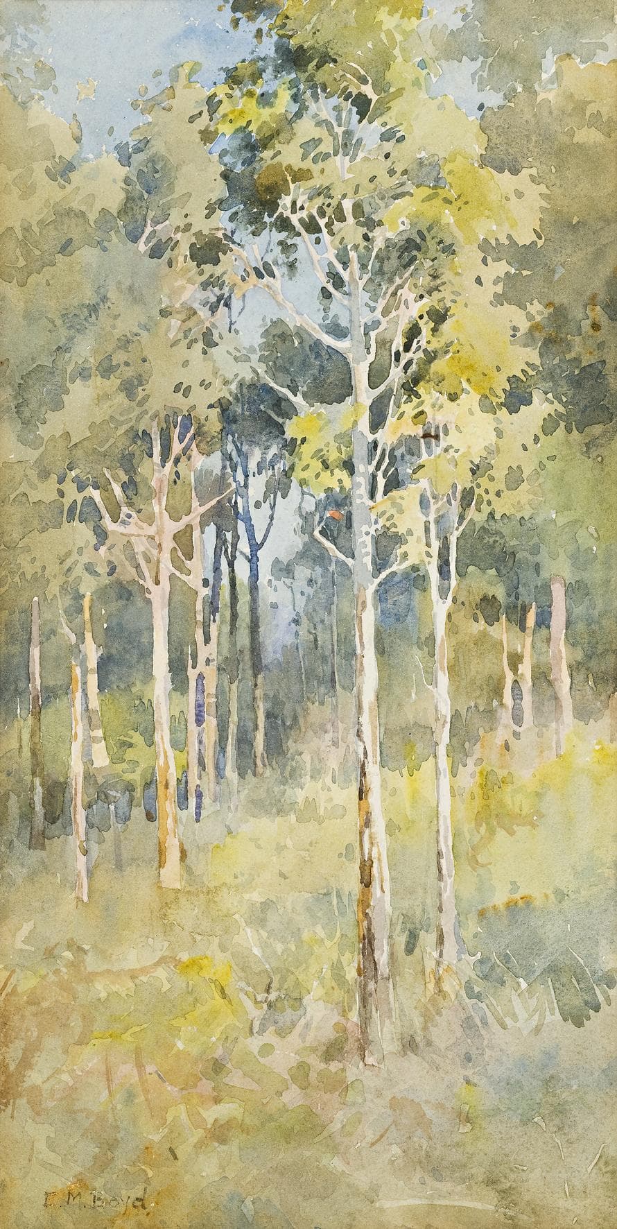 SAPLINGS
