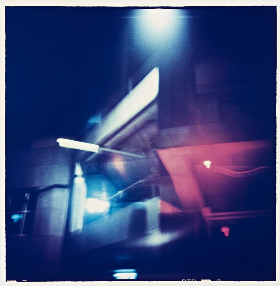 UNTITLED, 1991-92 (FROM THE SCOPIC TERRITORIES SERIES)