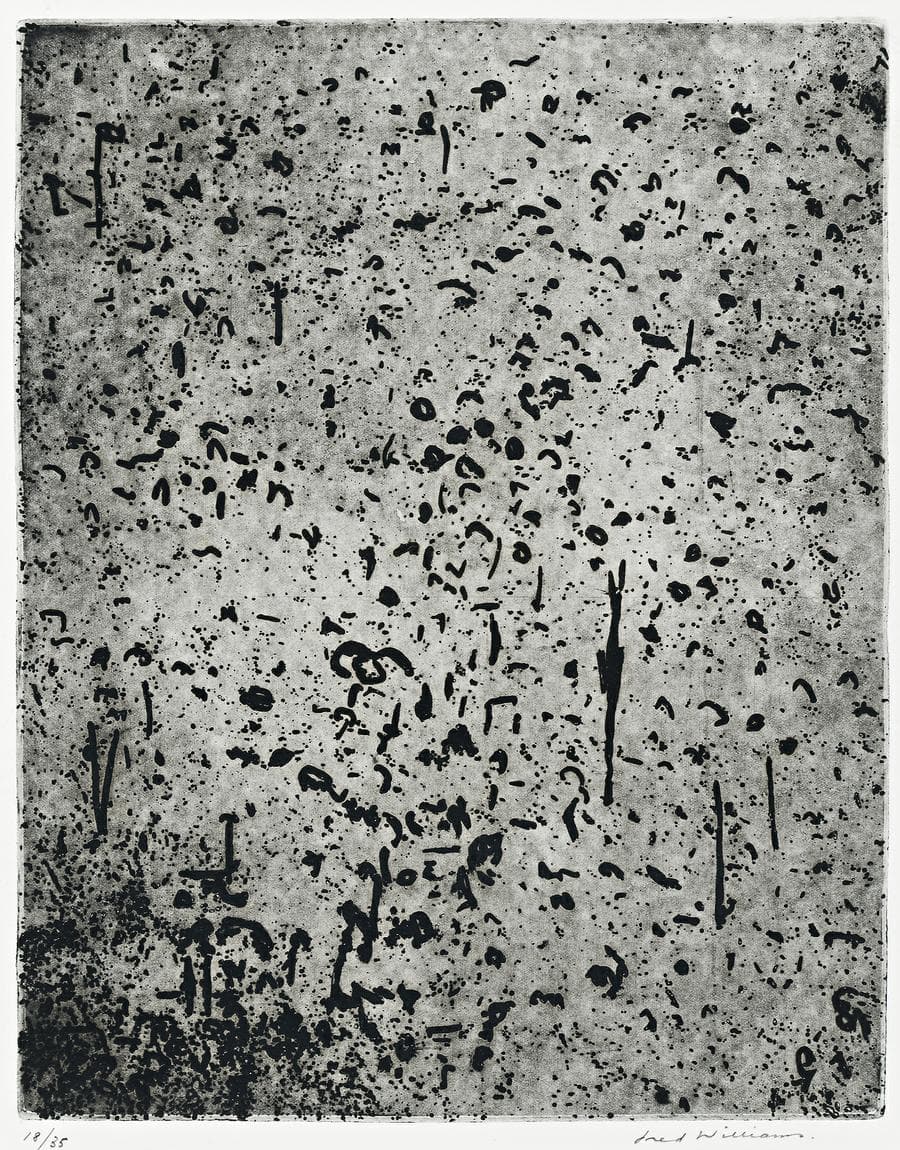 FOREST OF GUM TREES