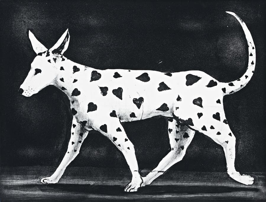 DALMATION