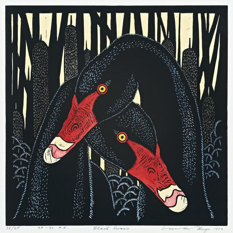 BLACK SWANS