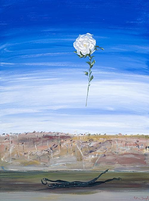 SHOALHAVEN RIVER WITH CARCASS AND ROSE