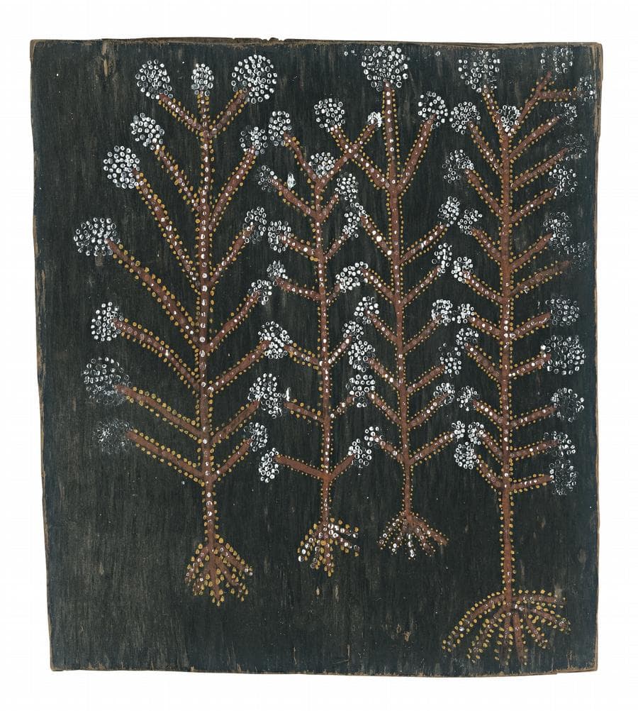 SACRED TREES