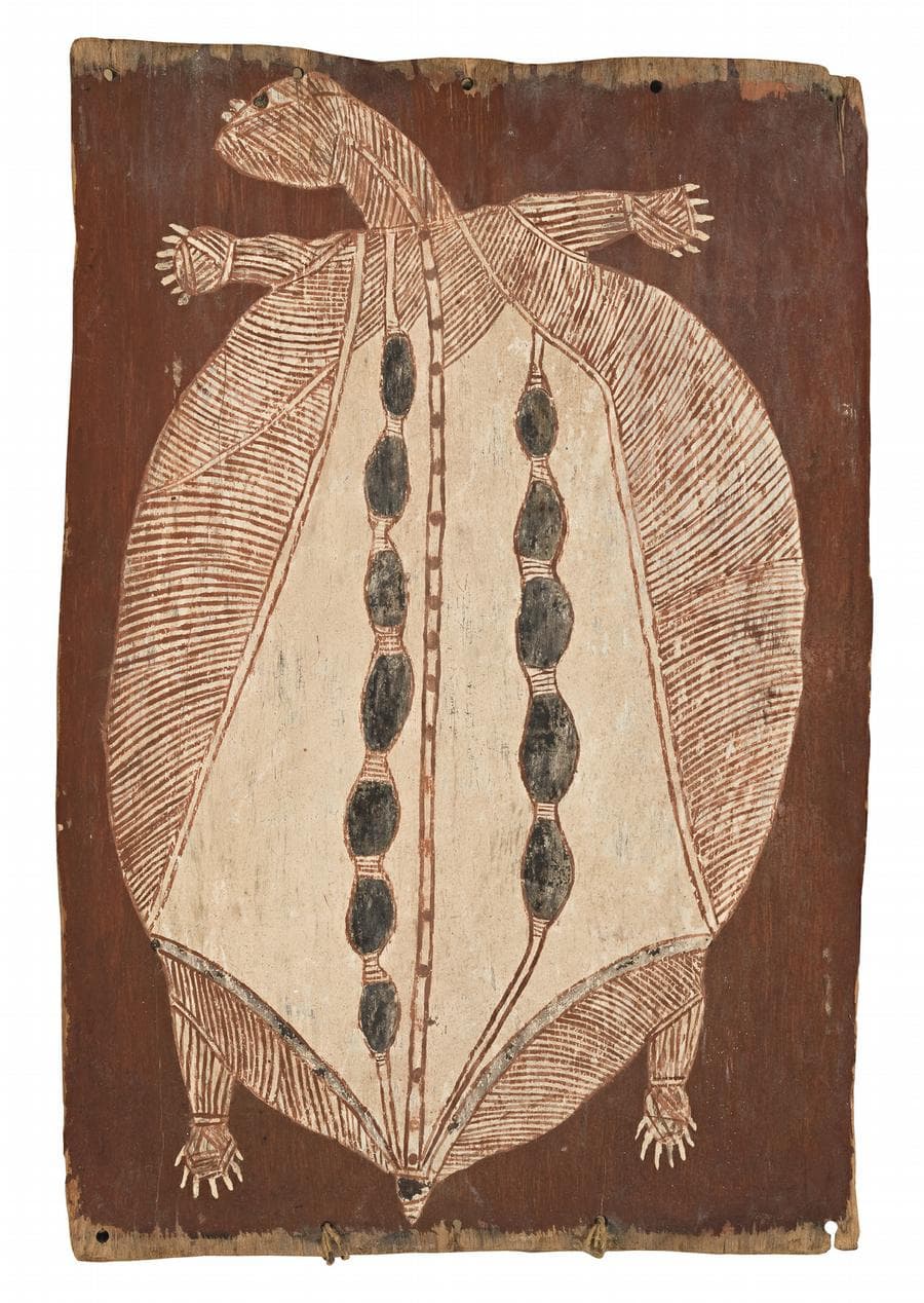 NGARDEWO (TURTLE)