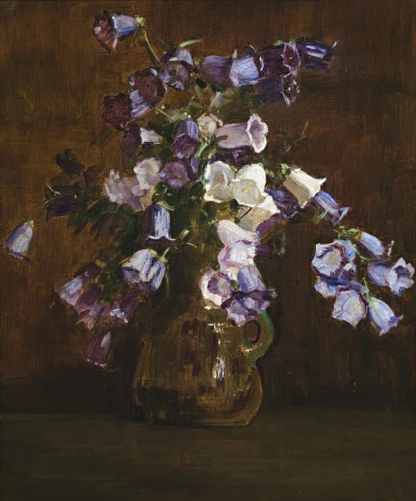 CANTERBURY BELLS, PURPLE AND WHITE