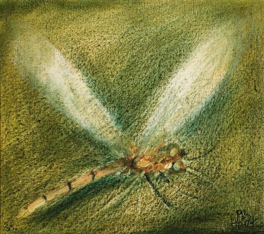 DRAGONFLY