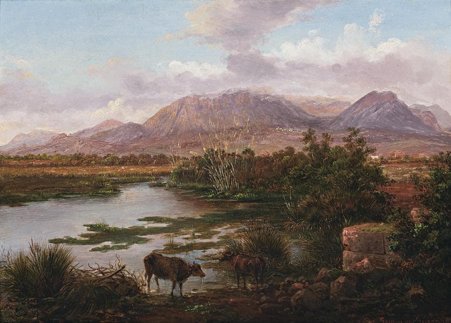 MARSH NEAR PAESTUM
