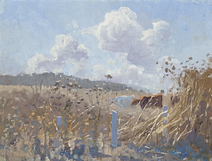 SUMMER LANDSCAPE